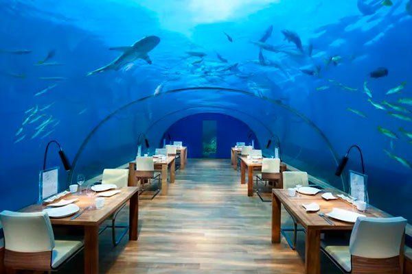 Ithaa-Undersea-Resturaunt.jpg