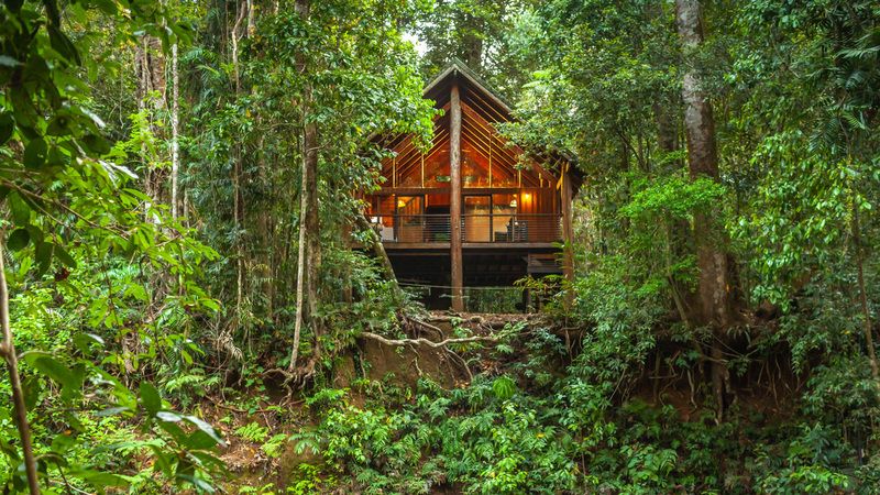 treehouse queensland.jpg